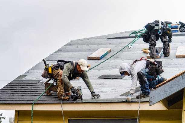 Professional Gutter Installation technician working in Nevada, TX